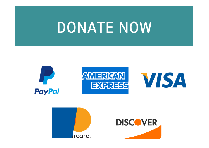 donate button with PayPal and credit card logos